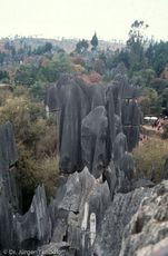 China (219 von 257).jpg